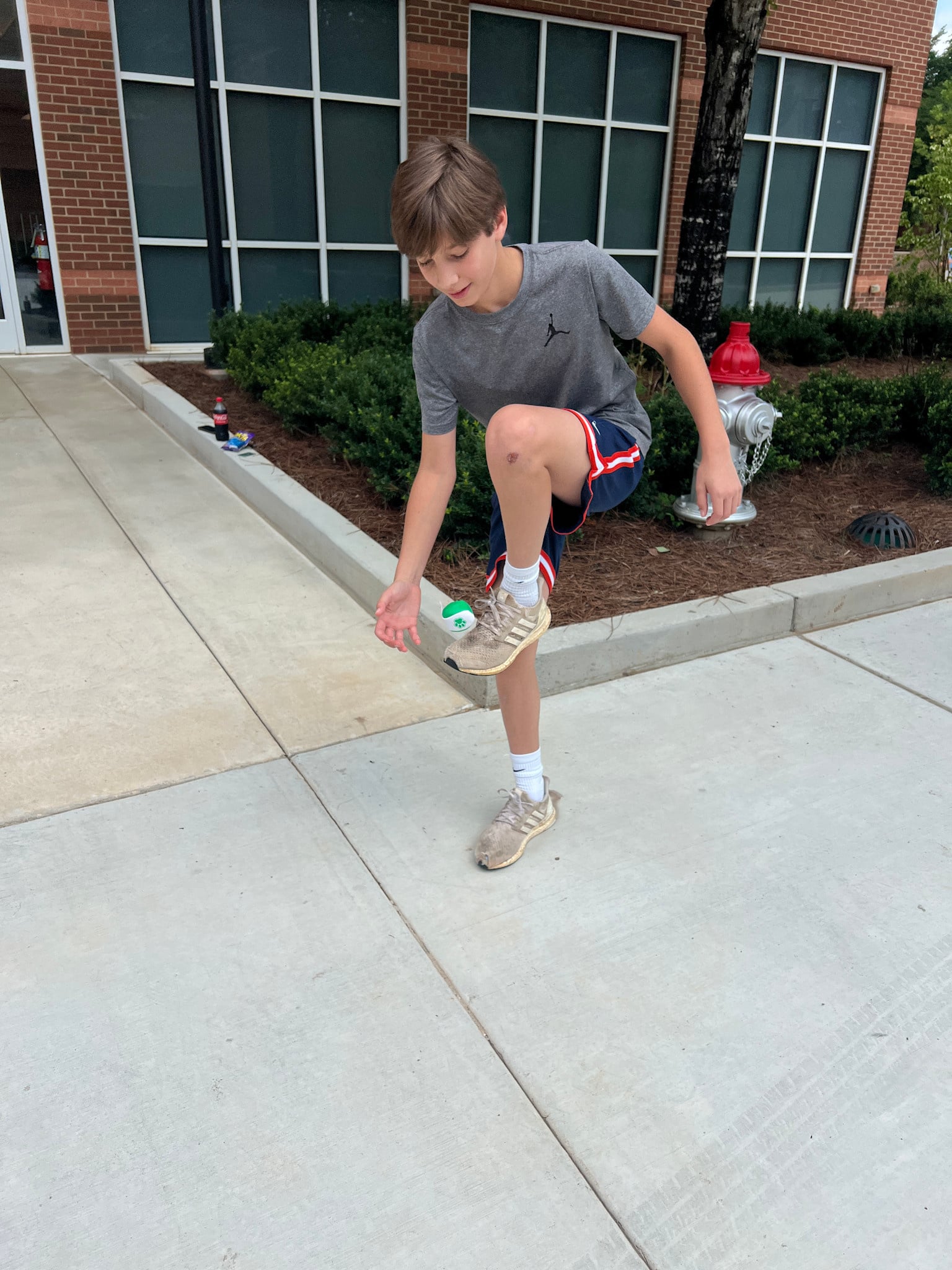 Hacky Sack w/ Paw