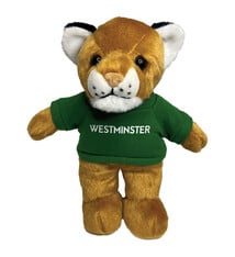 Plush: Wildcat Stuffie w/ T-shirt