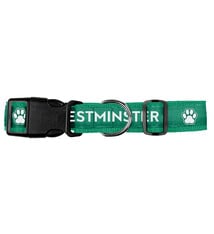 School Spirit Pet Collar