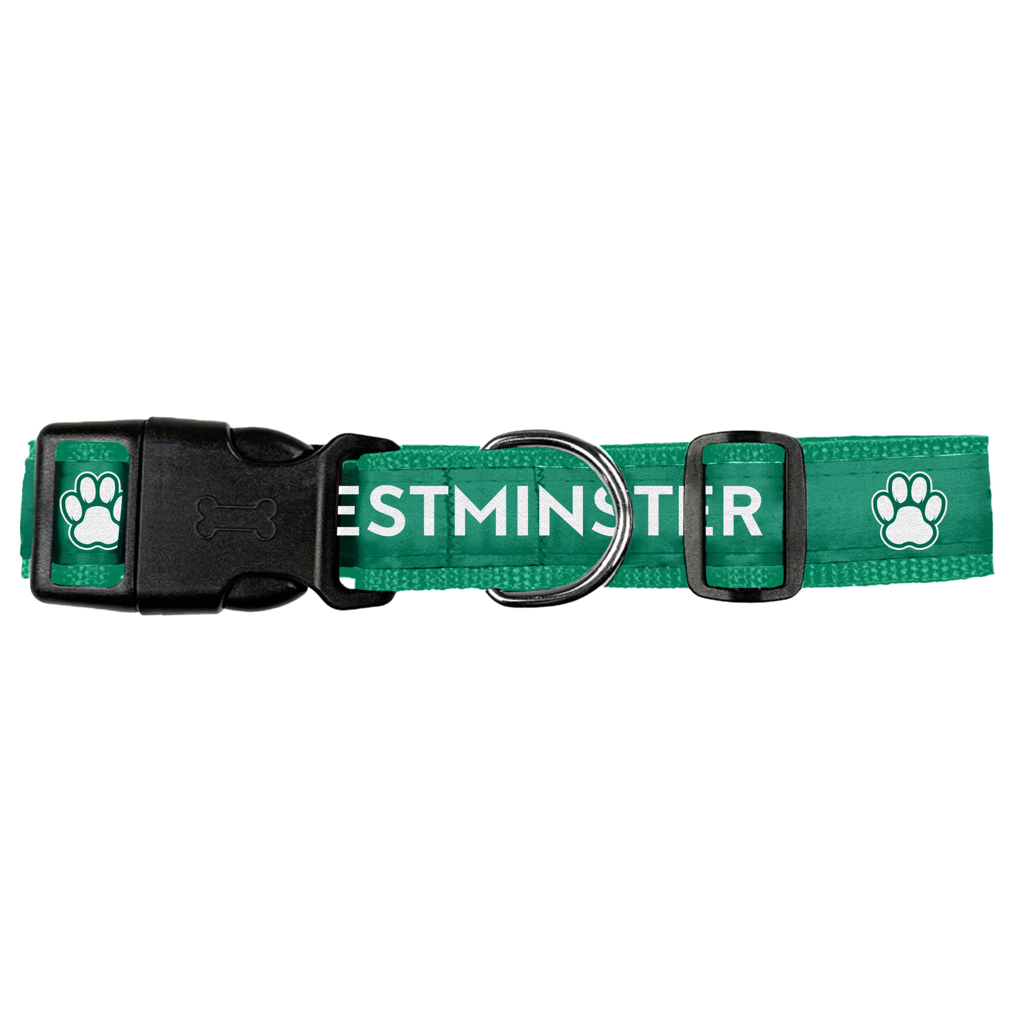 School Spirit Pet Collar