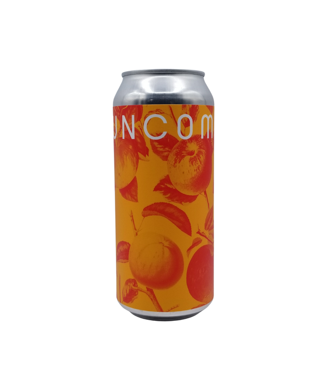 Uncommon Cider Ginger Cider 473ml