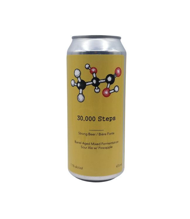 Trial & Ale Brewing 30,000 Steps Pineapple Mixed Fermentation Sour 473ml