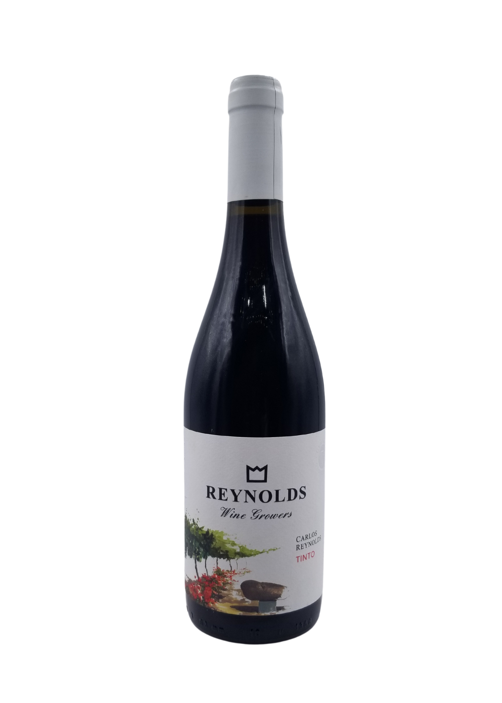 Carlos Reynolds Tinto