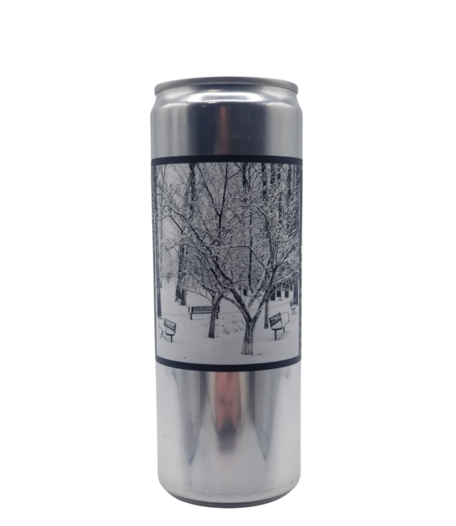 The Establishment Take A Slice Orange Wheat Wild Ale 473ml