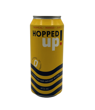 Category 12 Brewing Category 12 Brewing Hopped Up Tropical Non-Alcoholic Hop Water 473ml