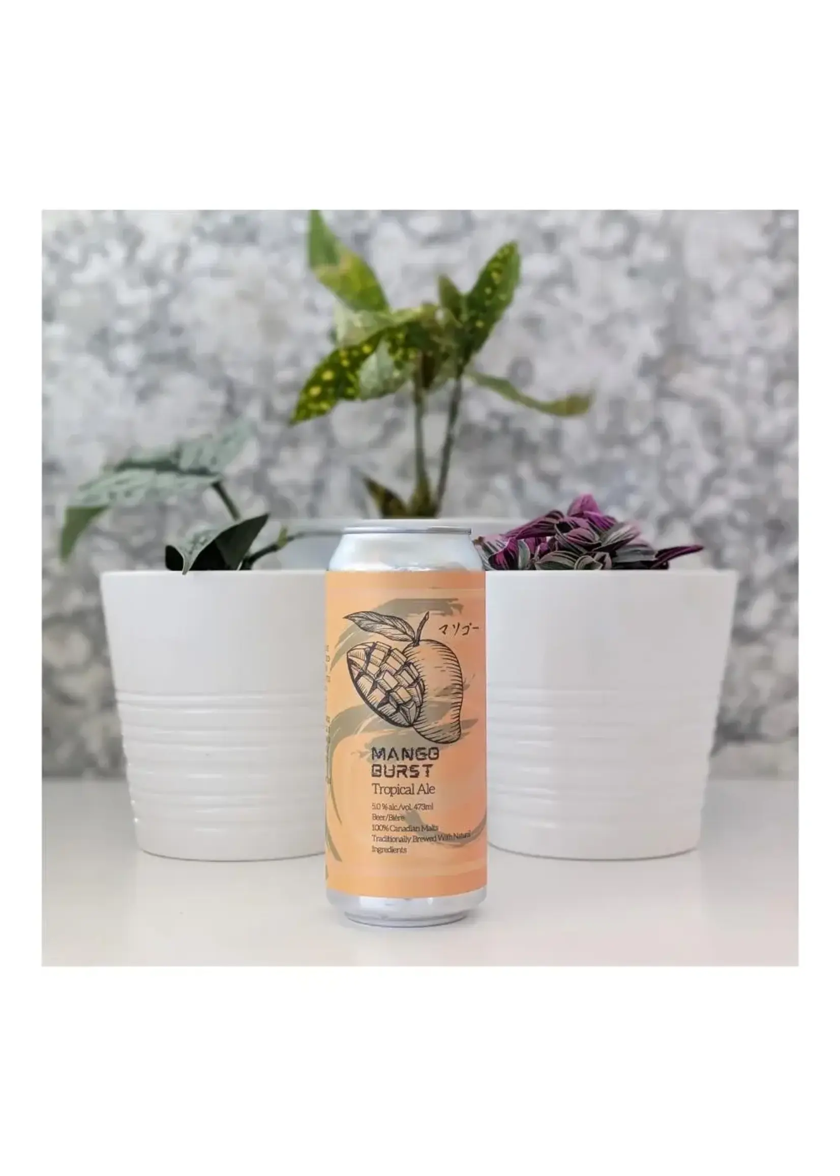 Hermit's Brewery Hermit's Brewery Mango Burst Tropical Ale 473ml