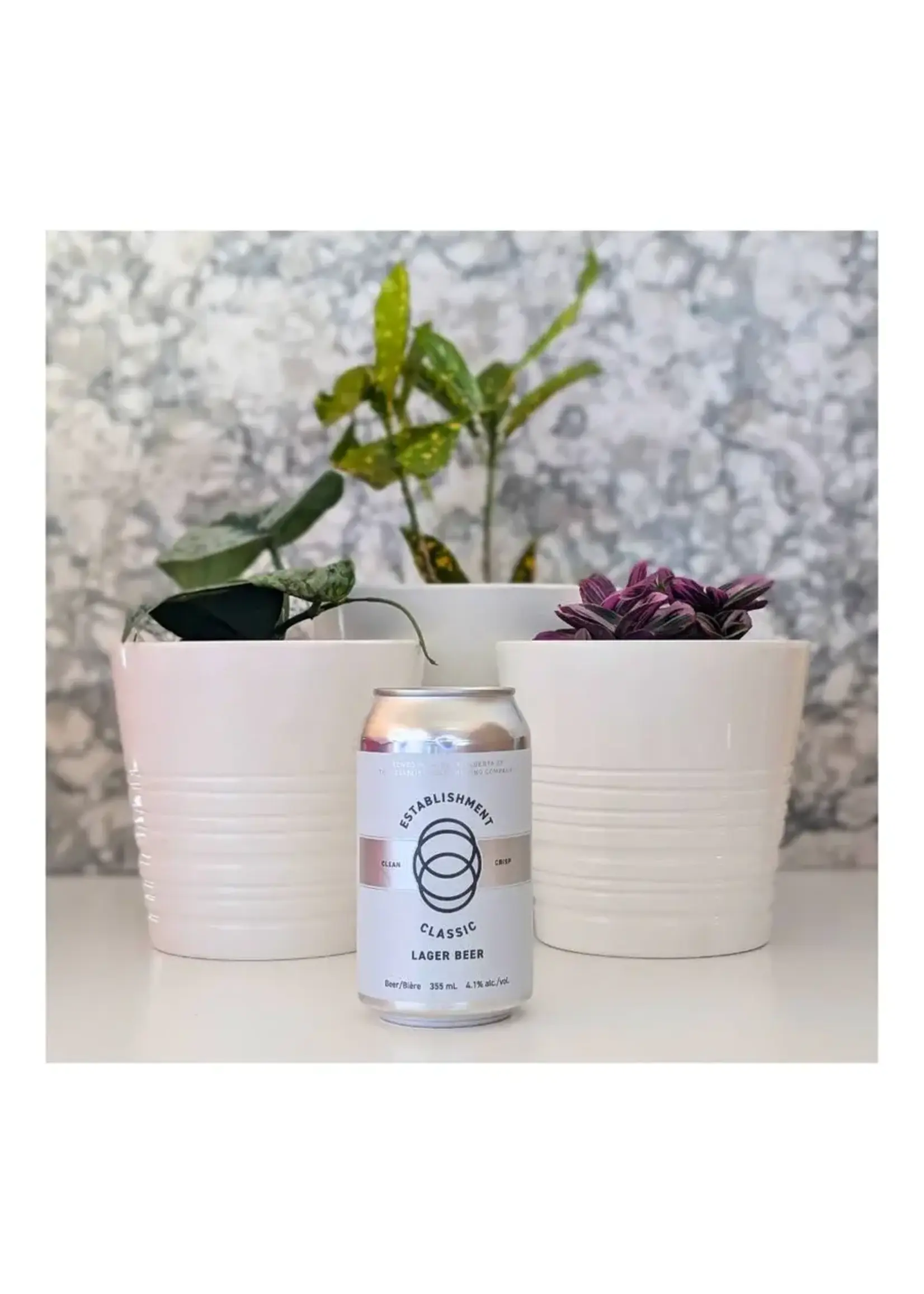 The Establishment Brewing The Establishment Brewing Classic Lager Beer 355ml