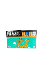 Collective Arts Brewing Collective Arts Brewing Groove Hunter 8 X 355ml