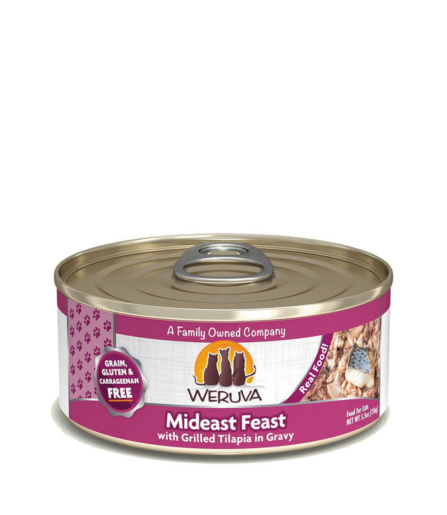 Cat Mideast Feast