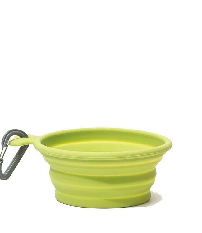 Collapsible Bowl Medium