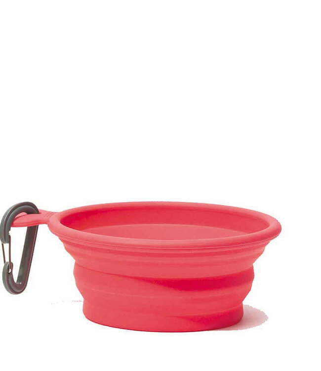 Collapsible Bowl Medium