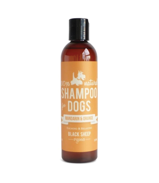 Black Sheep Organics Mandarin & Orange Organic Shampoo 8oz