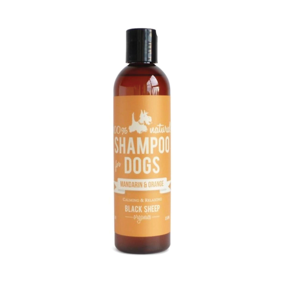 Black Sheep Mandarin & Orange Organic Shampoo 8oz - Bones Pet Stores