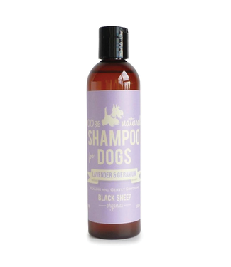 Black Sheep Organics Lavender & Geranium Organic Shampoo 8oz