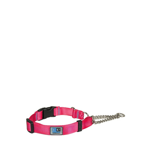 RC Pets CE Collar Quick Release Martingale Raspberry