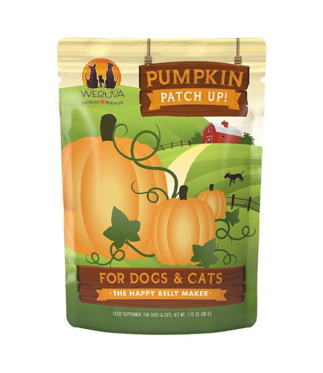 Pouch Pumpkin 1.05oz