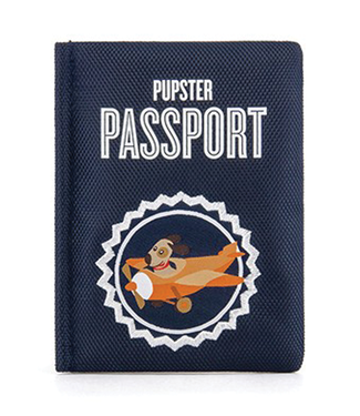 PLAY Globetrotter Passport Toy