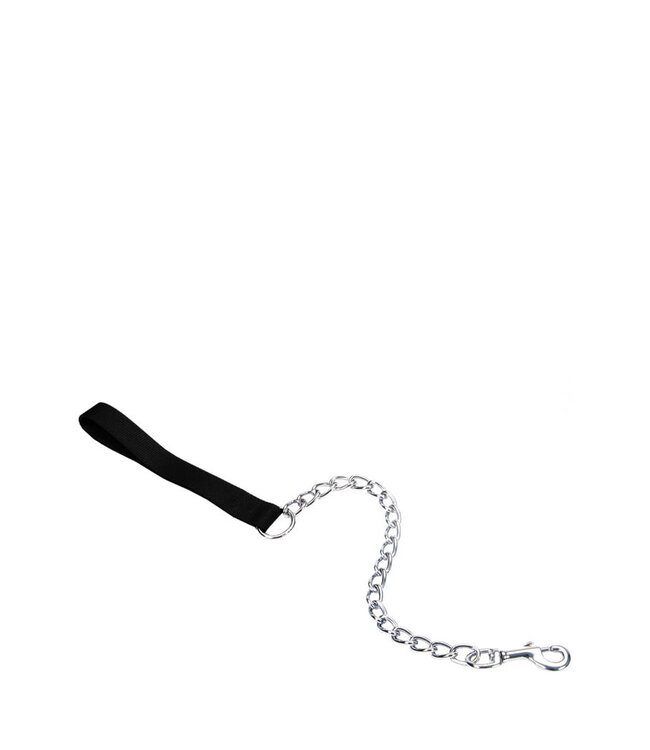 Titan Chain Leash
