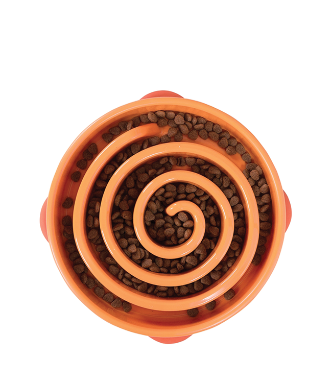 Slow Feeder Orange