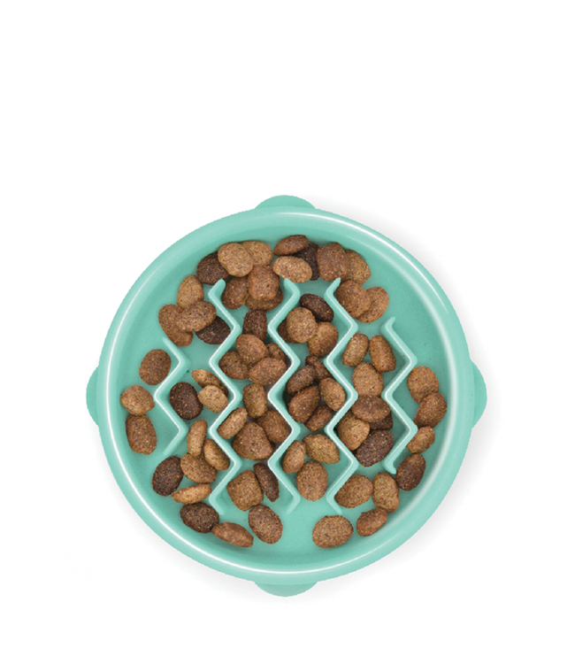 Slow Feeder Mint Tiny