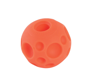 Omega Paw Tricky Treat Ball - Bones Pet 