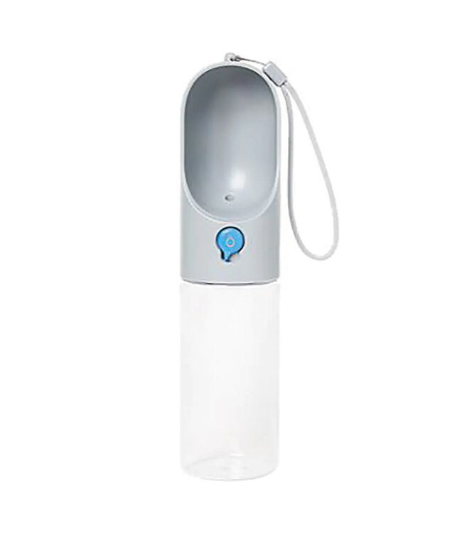 Eversweet Travel Water Bottle