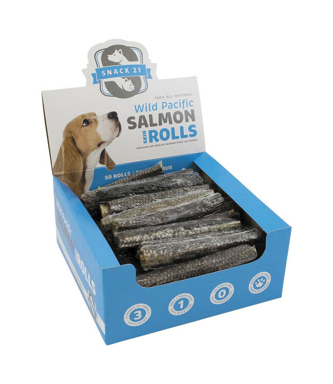 Dog Salmon Skin Roll