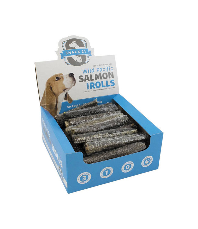 Snack 21 Dog Salmon Skin Roll Bones Pet Stores