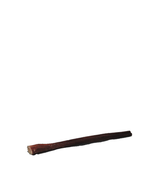 Open Range Bully Stick 12in Bones Pet Stores