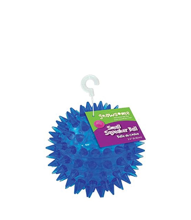 Squeaker Ball