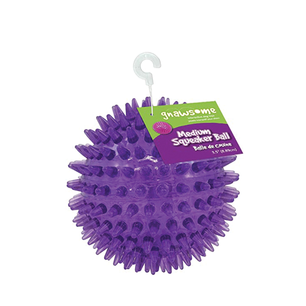 Gnawsome Squeaker Ball Bones Pet Stores