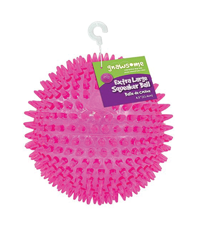 Squeaker Ball