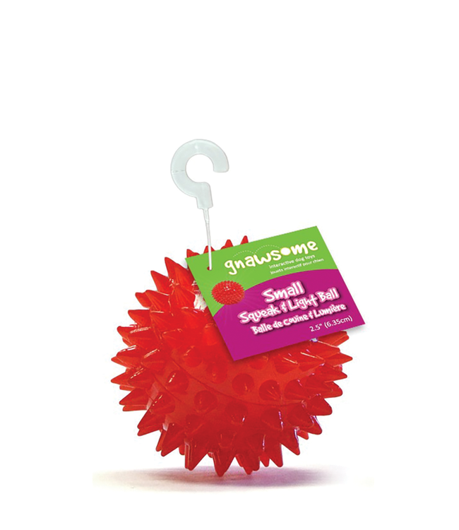 Squeak with Light Ball