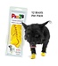 Pawz Disposable Dog Boots