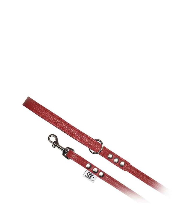 All Leather Leash Red