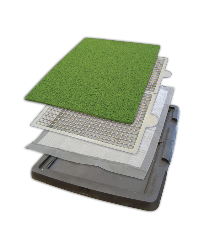 Spotty Training Pee Grass