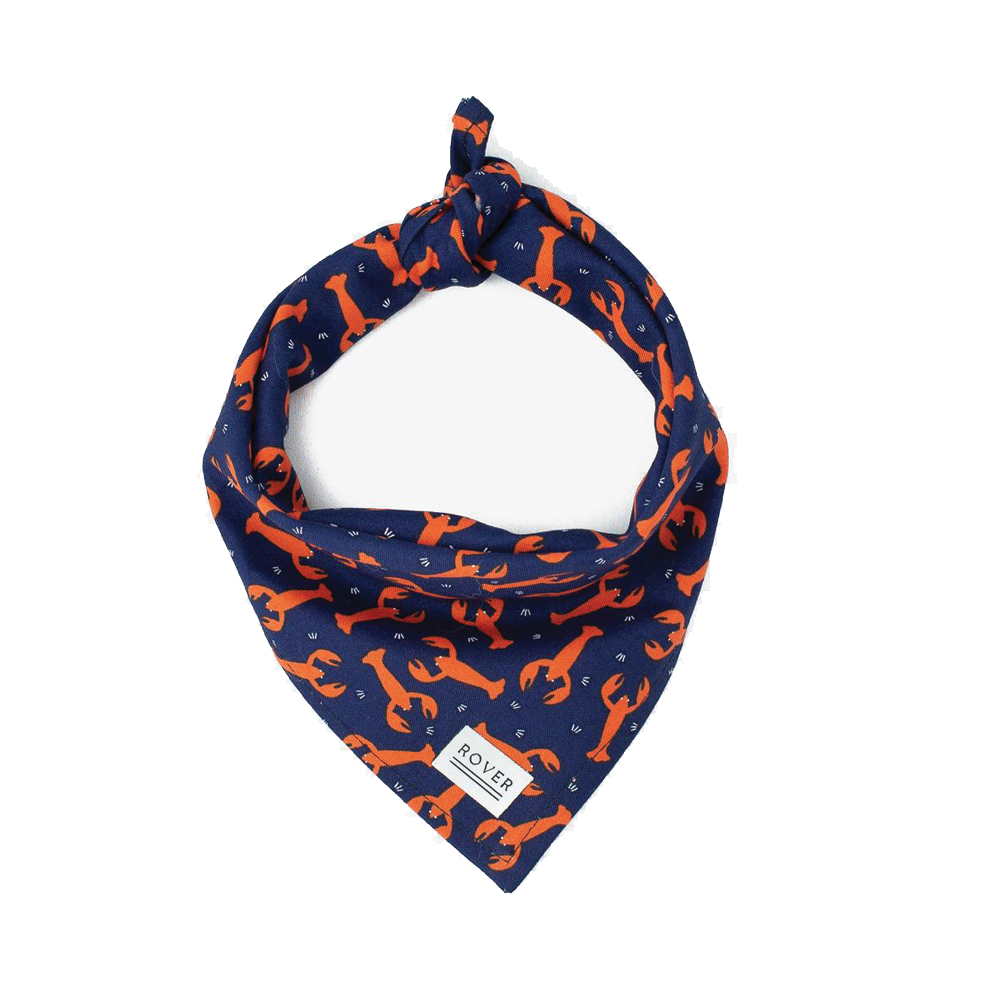 Rover bandana deals