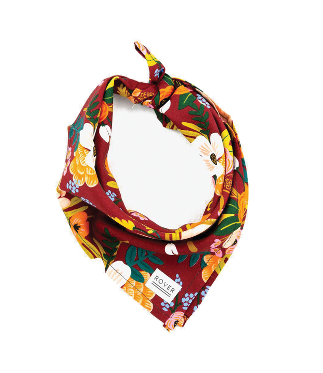 Bandana Orchid Large