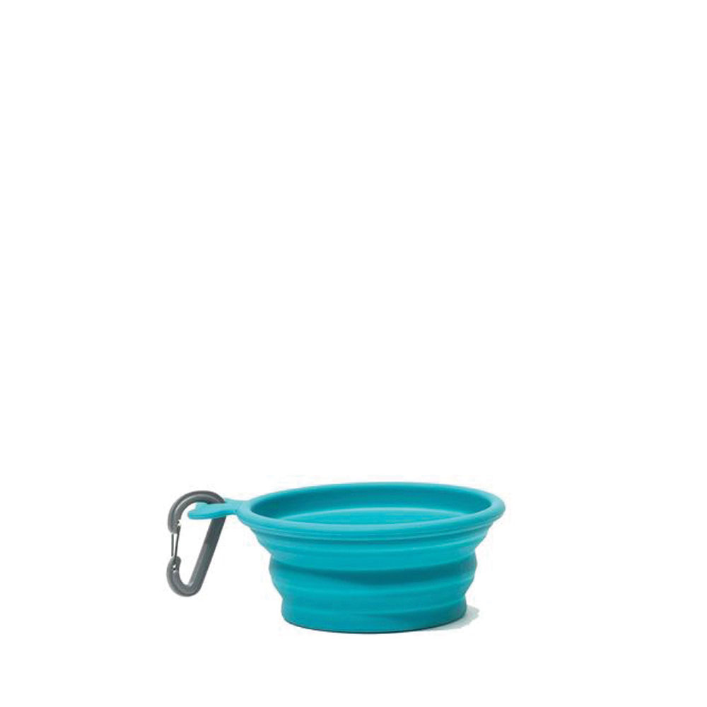 small collapsible bowl