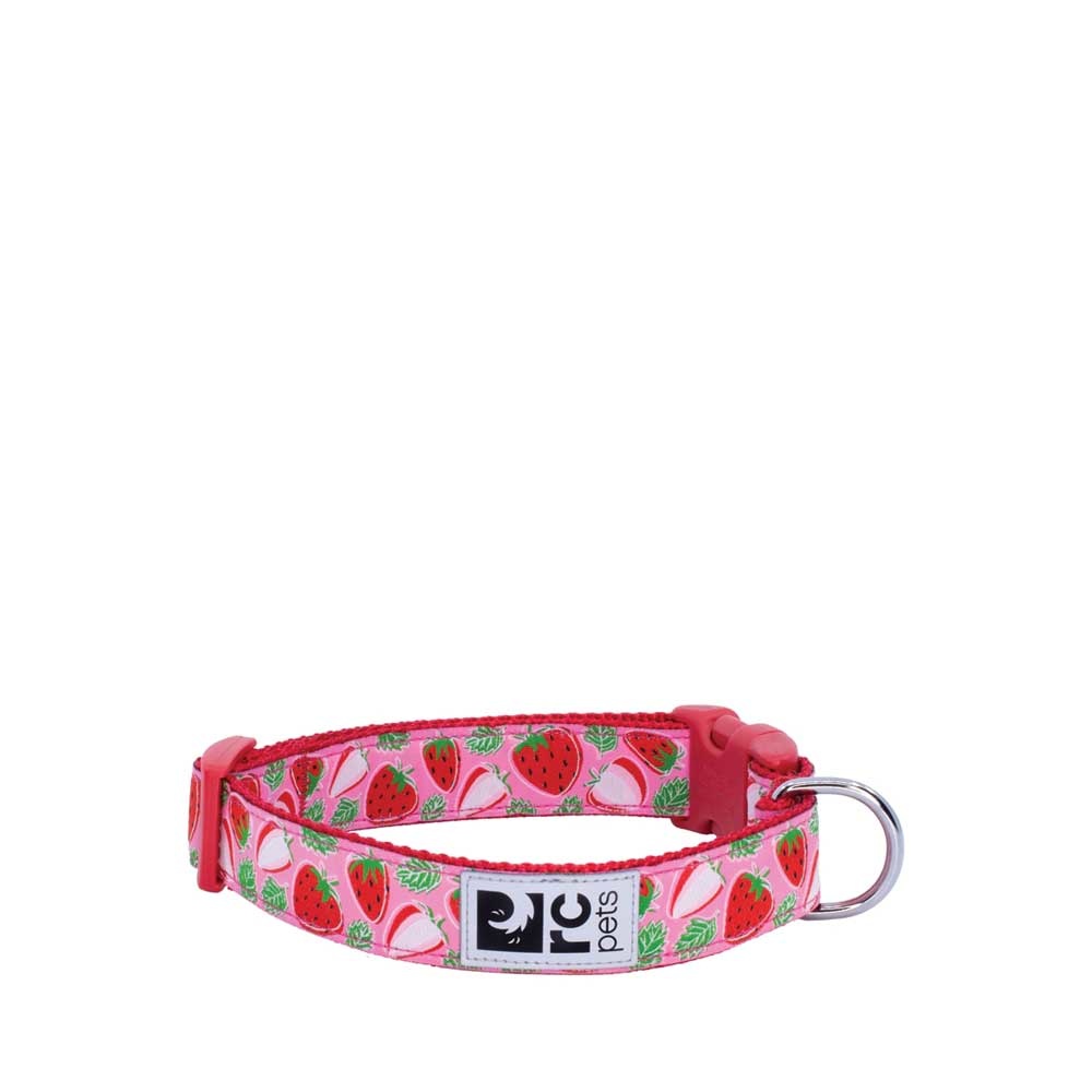 rc pets watermelon collar