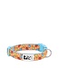 RC Pets Clip Collar Popsicles