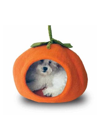 Dharma Cat Cave Pumpkin