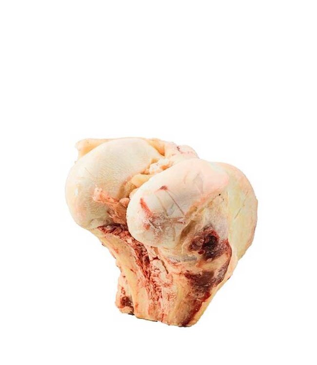 K9 Choice Frozen Buffalo Knuckle Bone