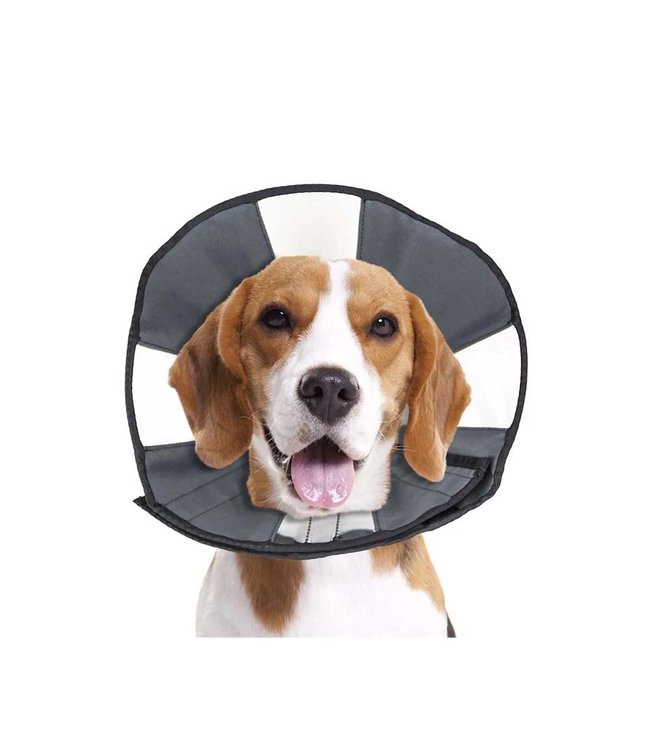 ZenPet Dog Post Surgery Cone