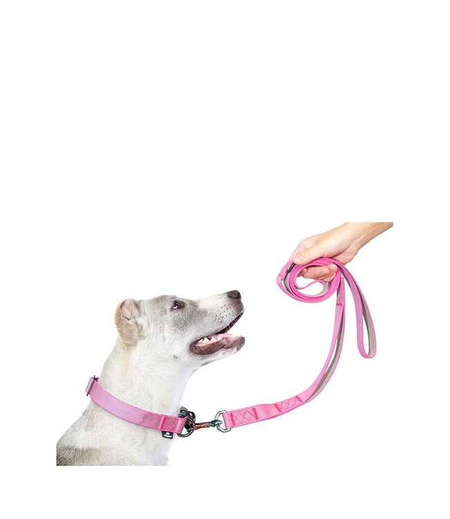 Dog Power Leash Pink Peony