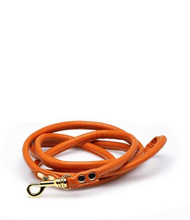 Lather Leash Medium