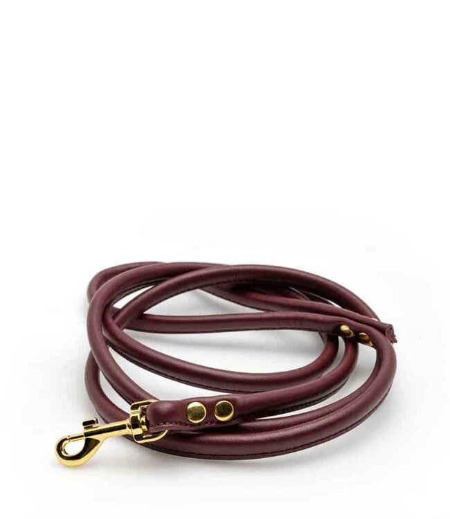 Lather Leash Medium