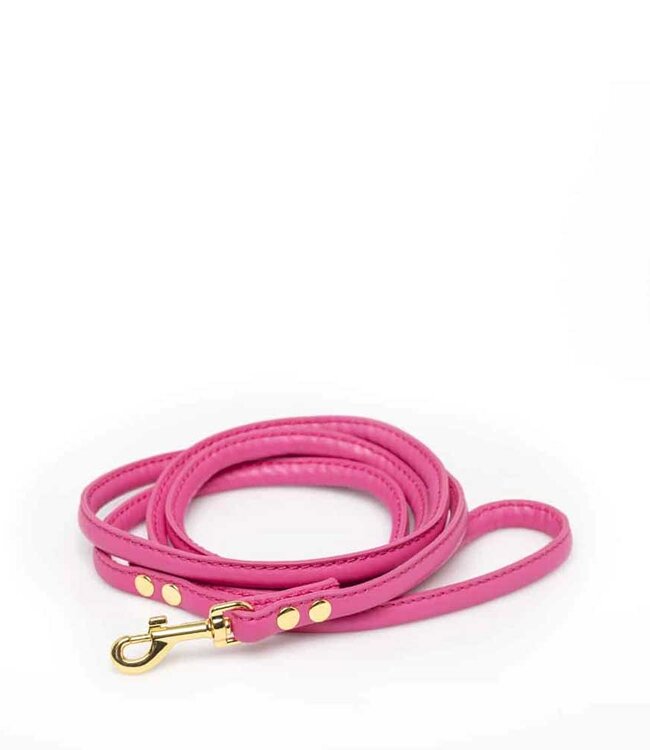 Lather Leash Medium