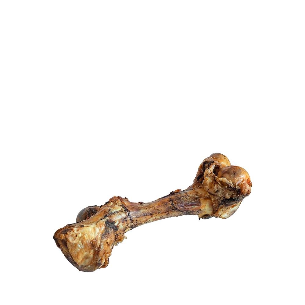 Dino bones top for dogs