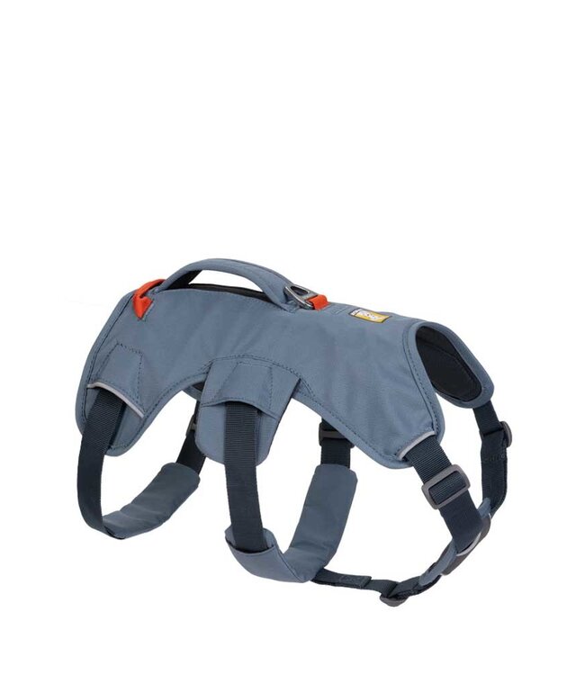 Webmaster Harness